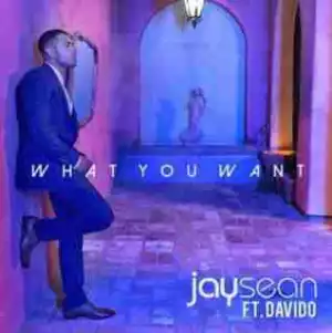 Jay Sean - What You Want ft. Davido